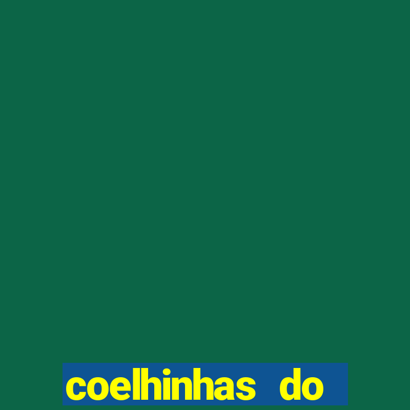 coelhinhas do brasil acompanhantes